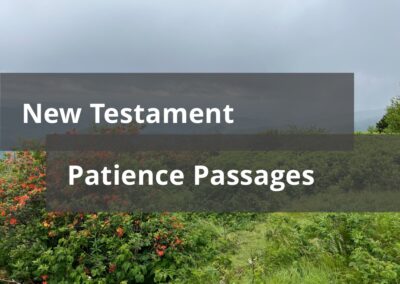 New Testament Patience Passages