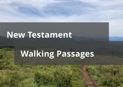 New Testament Walking Passages