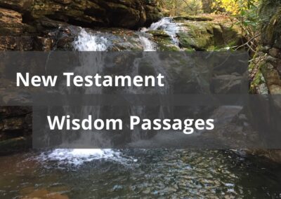 New Testament Wisdom Passages