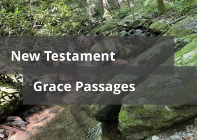 New Testament Grace Passages