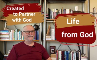 Life from God: Created to Partner with God